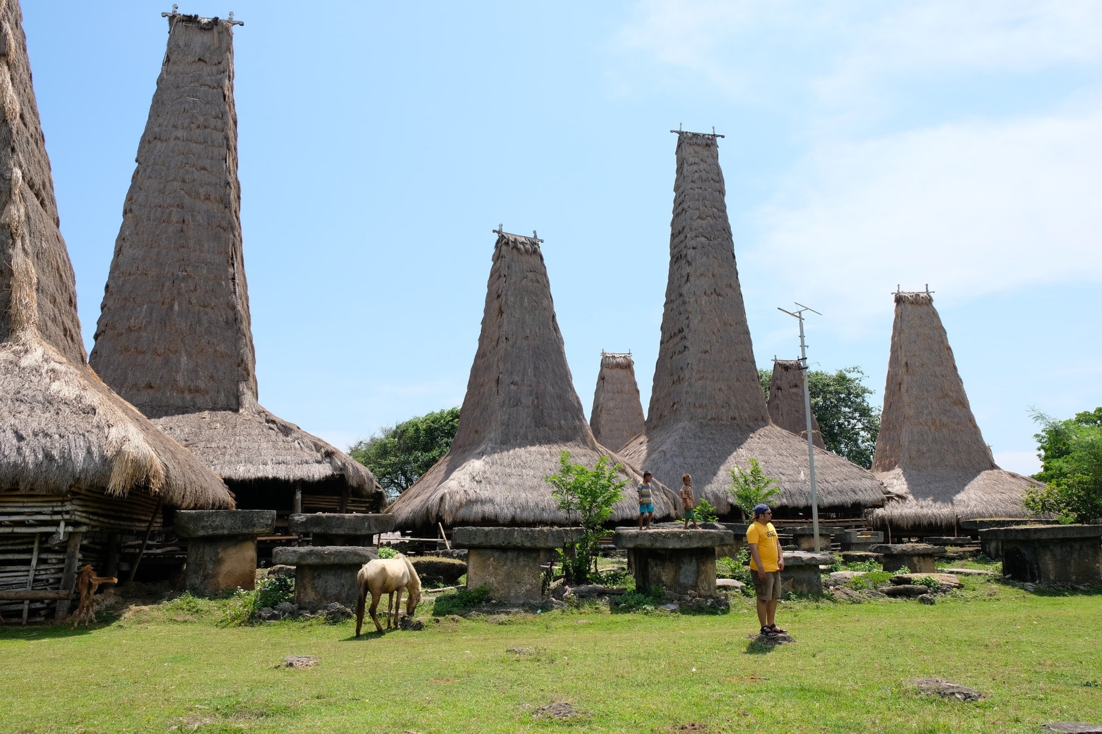 Menjelajah Sumba: Surga Eksotis dengan Pesona Alam dan Budaya yang Memikat