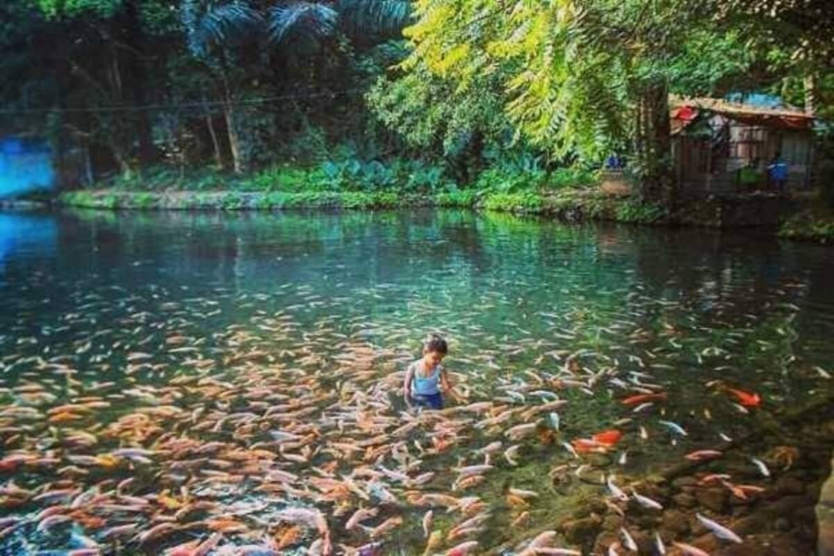 Tren Wisata Berbasis Alam di Indonesia 2025: Ekowisata, Konservasi, dan Pengalaman Otentik